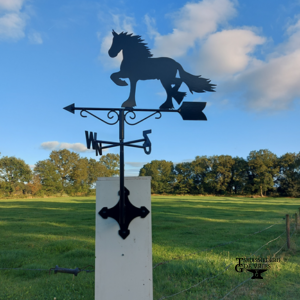 Windwijzer paard met n-o-z-w