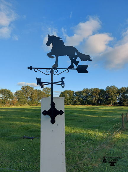 Windwijzer paard met n-o-z-w