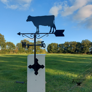 Windwijzer Koe met n-o-z-w