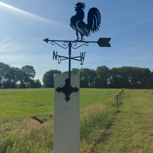Windwijzer Haan op statief met n-o-z-w