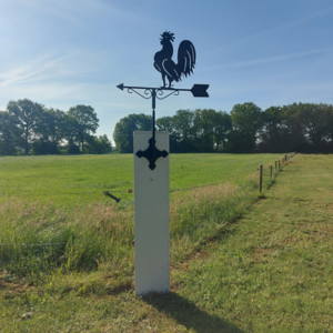 Windwijzer Haan op statief